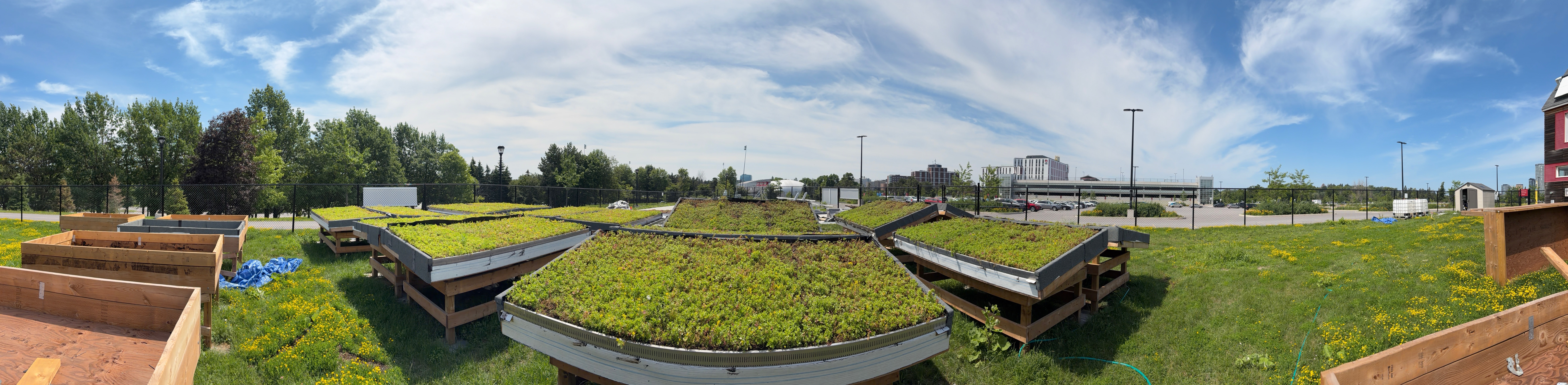 A flat grassy field with parking lots on either side.